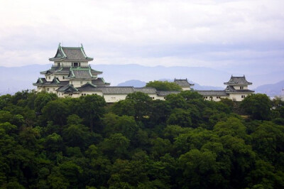 和歌山城(わかやまじょう)是一座位于日本和歌山县和歌山市的城堡，与松山城、姬路城合称日本三大连立式平山城。曾经为德川御三家中治理纪伊藩（又名纪州藩、和歌山藩）的纪伊德川家的居所，纪伊藩的的第五代藩吉宗和…