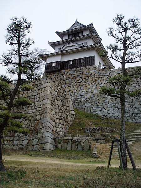 丸龟城是位于讃岐国（现在香川县丸龟市）的一个日本城堡。别名龟山城、蓬莱城。该城的天守是日本十二座现存天守之一，也是最小的现存天守。此外该城的石垣高达60米，也是日本最高。为日本100名城之一。