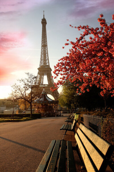 想去巴黎蜜月旅行