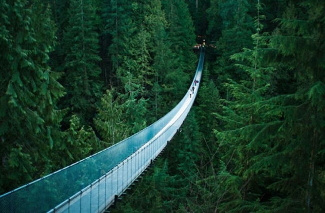 加拿大 Capilano Suspension Bridge 。