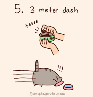 Pusheen Cat soooo cute