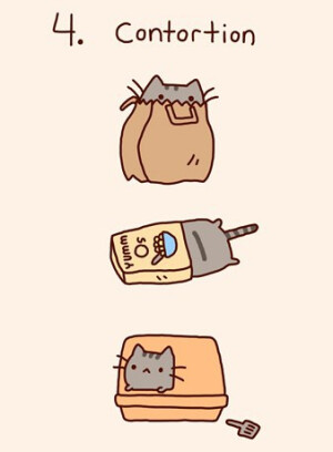 Pusheen Cat soooo cute