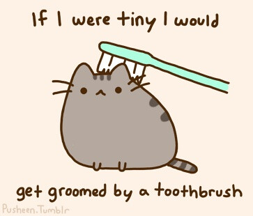 Pusheen Cat soooo cute