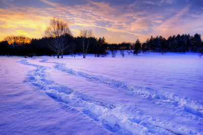 "The Blue Hour"