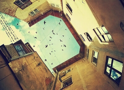 仰望 那一角的天空...