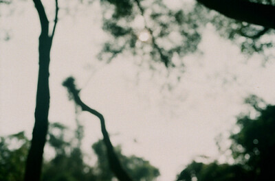 年华 是一场无声剧...