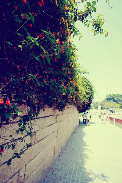 一面墙 一段时光 一串回忆...