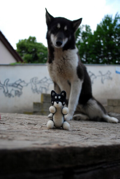 Needle felted Lupo I/by ~Pawkeye