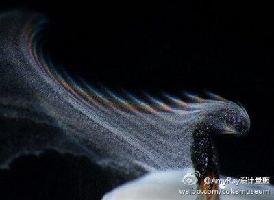 蜡烛熄灭的瞬间 ,摄影师:Grover Schrayer 富士Finepix S8100fd + Raynox M-250 微距头，在蜡烛熄灭的过程中对焦烛芯，拍下了瞬间的彩虹。