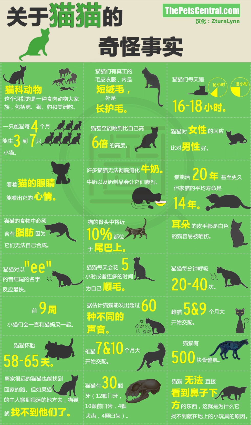 猫猫们看起来爱玩耍，喜欢与人类为伴，还能很好地适应家庭生活。它们难以捉摸、形单影只、高贵，独立的生物总用自己的方式表达感情。正是这些特点让它们深深吸引着人类。