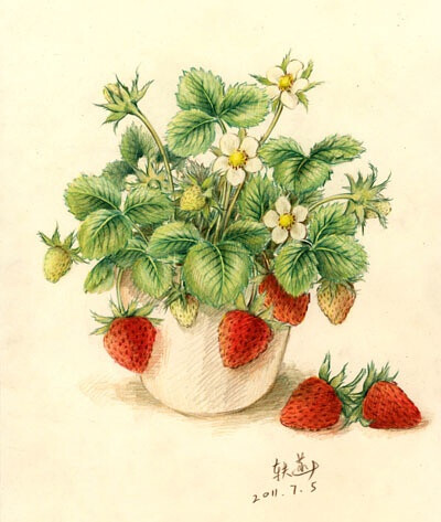 strawberry