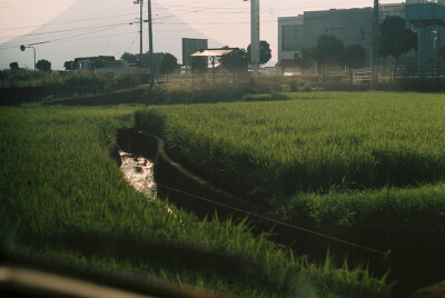 生活在日本