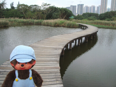 香港濕地公園