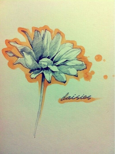 花朵手绘