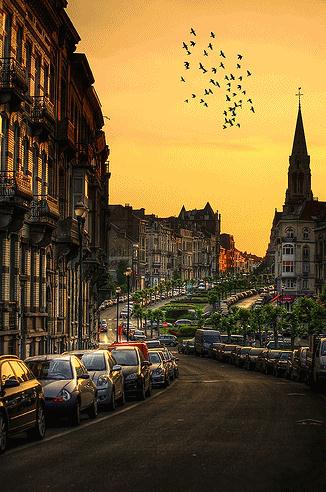 一个人的彷徨，