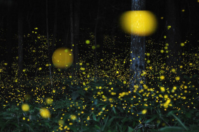  摄影师在日本大阪拍摄的