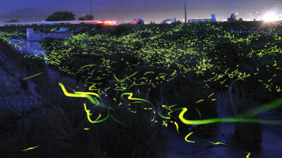  美到不可思议。