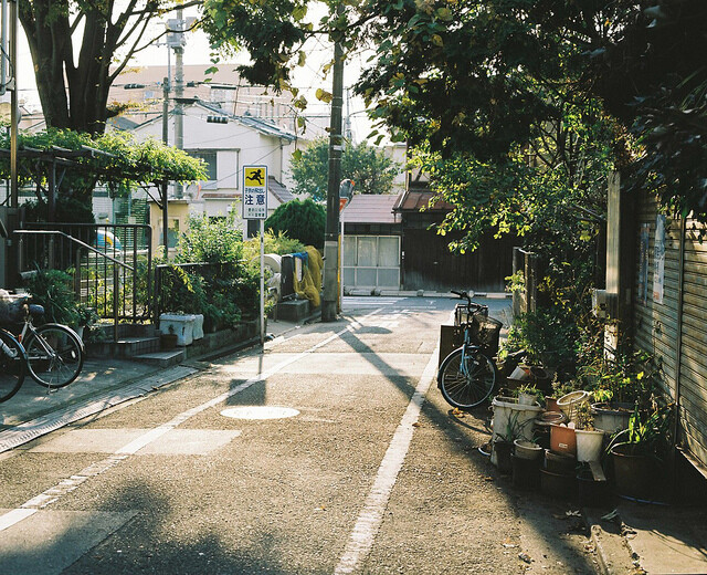 生活在日本