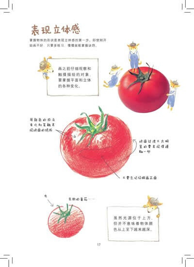 表现西红柿的立体感