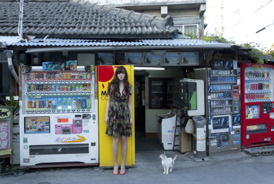 女神不解释