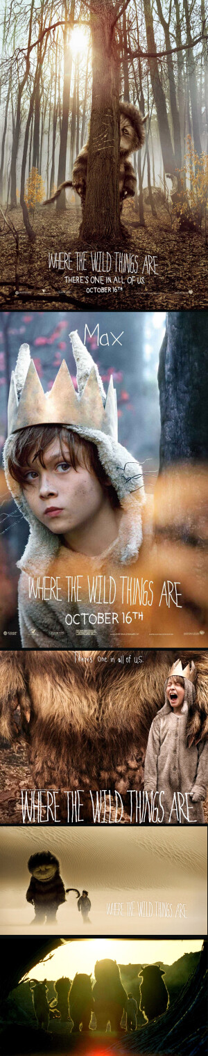 <Where the Wild Things Are 野兽家园 >—— 如此喜欢这片也许就是因为它对孤独，对童年，无所顾忌的畅快淋漓的宣泄。是的，我找到了那个童年的模糊的小小的我的宣泄口。