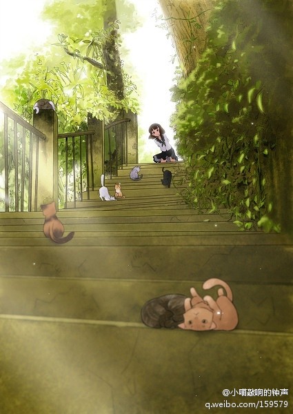 舍不得这张图的阳光