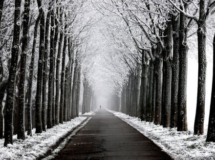 宝贝 我们一起走到白头