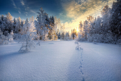 冬 by Mikko Lagerstedt