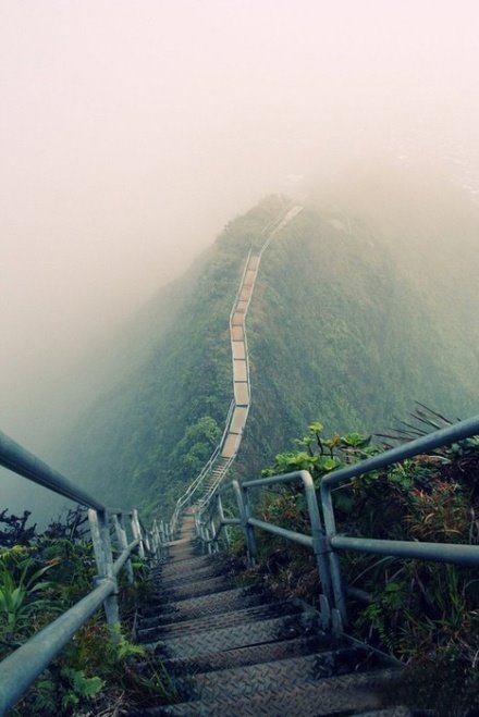 夏威夷欧胡岛上的天梯，有人敢走么～