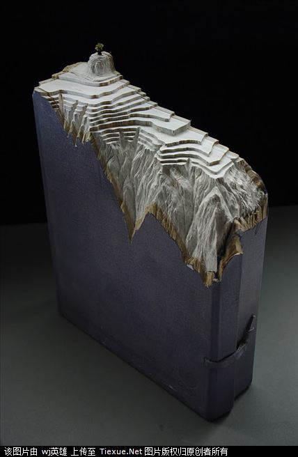 盖伊·拉勒米是一个涉足领域颇多的人，在过去的三十年间，他做过编剧，导演，作曲，乐队伴奏，歌手，雕刻家，画家以及作家。而今他又有了一个新的独特爱好，用旧书来雕刻制作各种地质奇观。在他的作品中，梯田，裂谷，天坑，地缝，应有尽有，让人叹为观止。