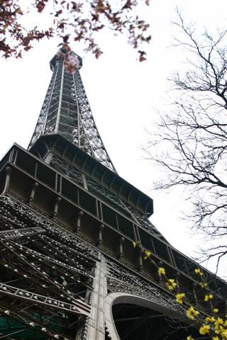 埃菲爾鐵塔（法語(yǔ)：La Tour Eiffel）~~~~