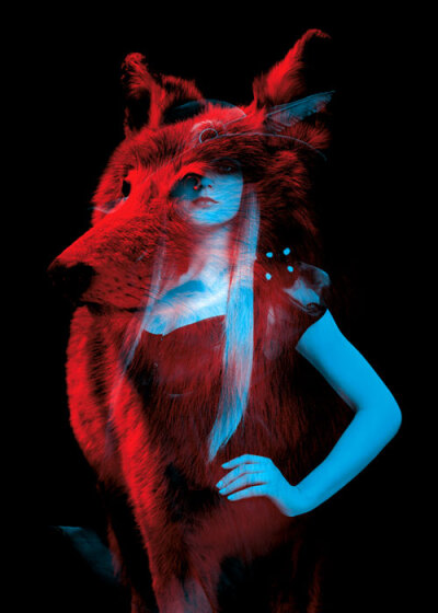 This is a French creative studio helmo animal called fashion projects