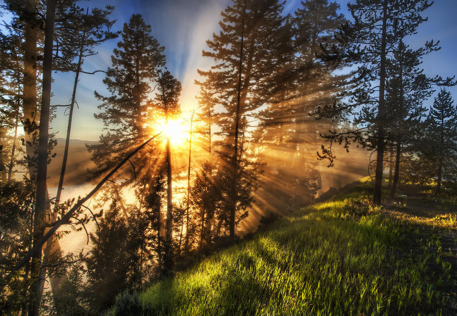 Yellowstone Sunrise Photograph by Zarija Pavikevik