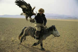 A Mongolian Eagle Hunter In Kazahkstan Photograph - A Mongolian Eagle Hunter In Kazahkstan Fine Art Print - Ed George