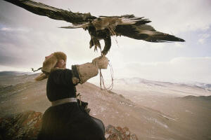 A Kazakh Hunter Strains To Support Photograph - A Kazakh Hunter Strains To Support Fine Art Print - David Edwards