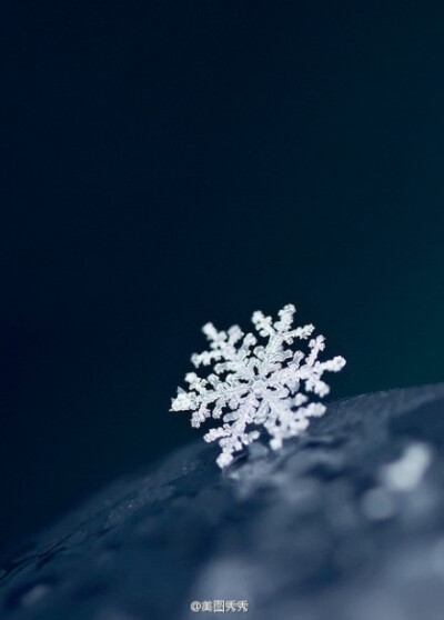 一朵雪花的时间