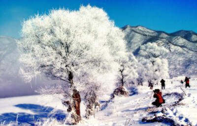 辽宁本溪——冰雪雾凇。冰天雪地。