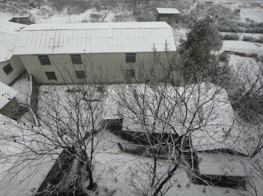 雪景。长沙望城。