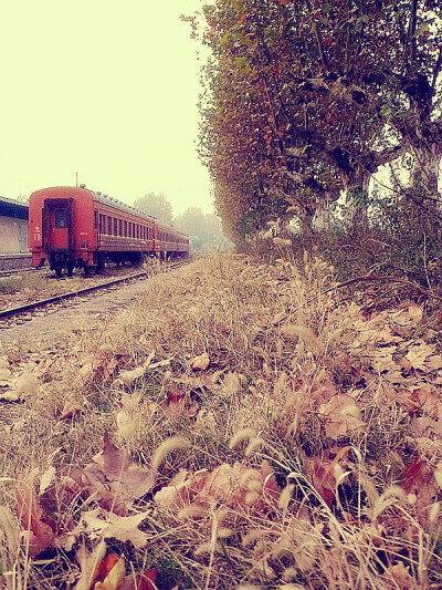 坐上火车，走一趟吧，沿途看看风景，想想自己的方向。