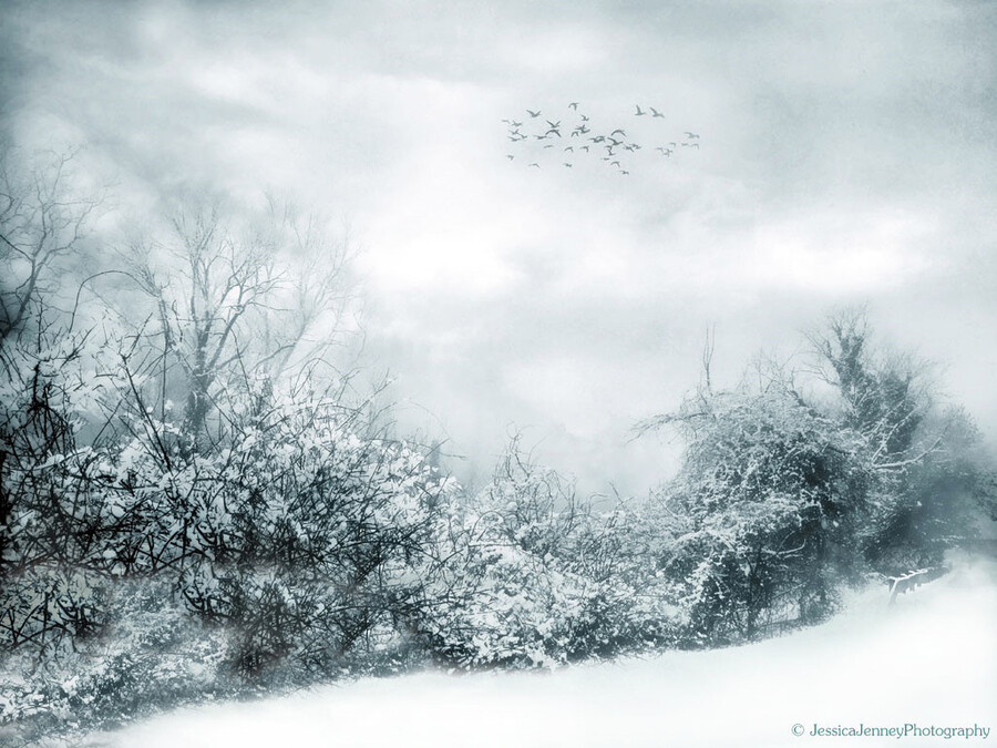 "Silent Snow"