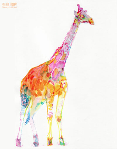 长颈鹿 Giraffe