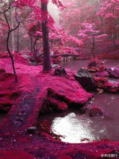 好漂亮的地方。。。