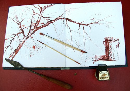 一个老奶奶的大自然笔记。