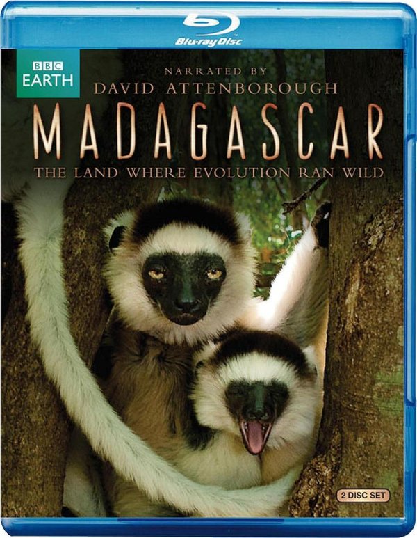 [英国广播公司：马达加斯加].BBC.Madagascar.Feature.2011-Bluray.1080p.AC3.x264-WZQ1397 25.8G 【迅雷快传】因为远离非洲大陆，马达加斯加多年来未被发现，它的孤立使之成为进化的温床，本纪录片研究了各种在此陆地上土生土长的动物和植物