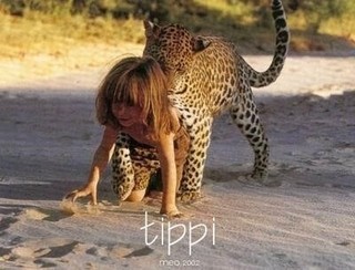 tippi