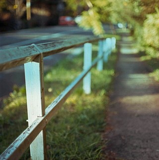 小路旁也有不同的风景