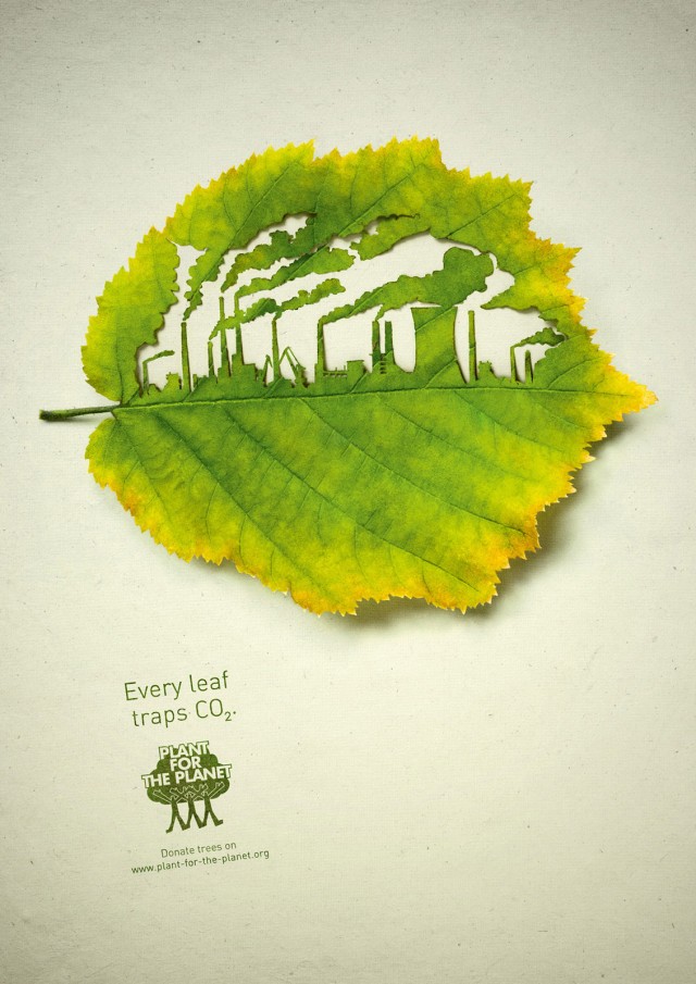 Every leaf traps CO2