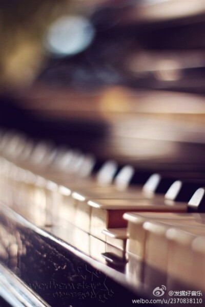 手指很长，想弹钢琴
