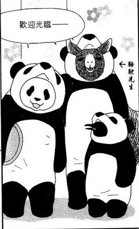 熊猫穿神马熊猫装嘛！！被萌倒了啊！！！