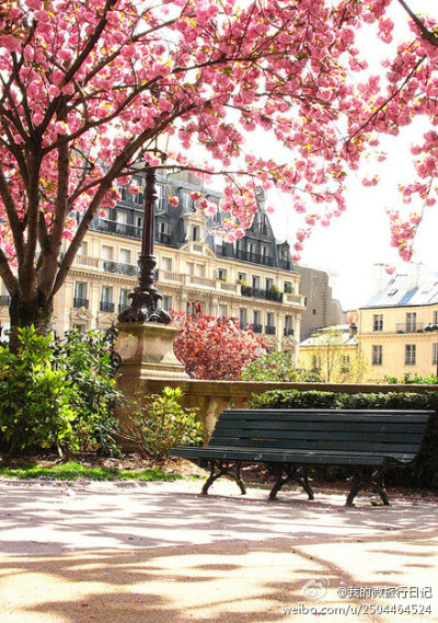 恬静的巴黎街头公园一角，似乎闻到沁人心脾的花香。印象里总有那么几个属于自己的角落，安静而美好~